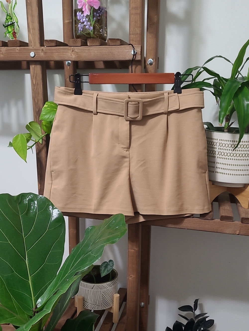 Express Light Brown/Dark Tan Dress Shorts